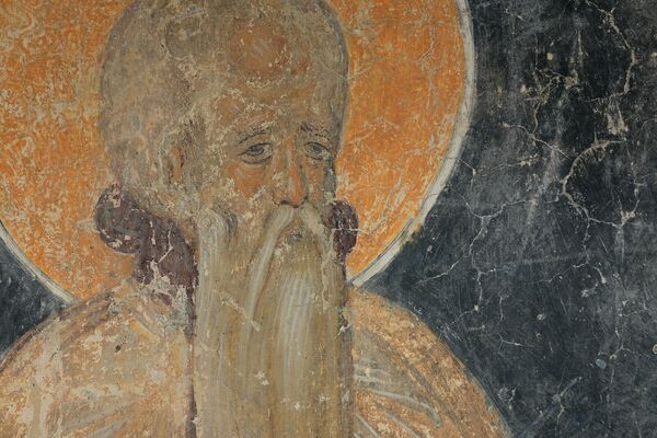 St Euthimius, detail