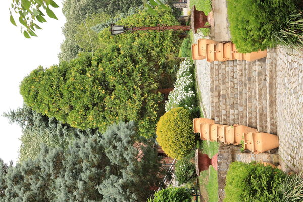 Path with steps in the gate