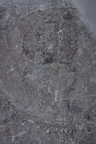 Serbian King Dušan, detail