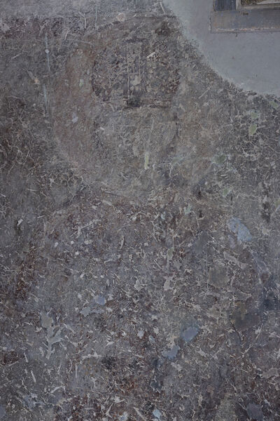 Serbian King Dušan, detail