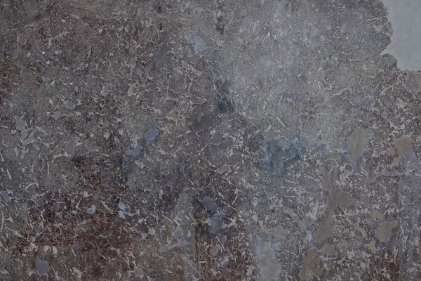 Serbian King Dušan, detail