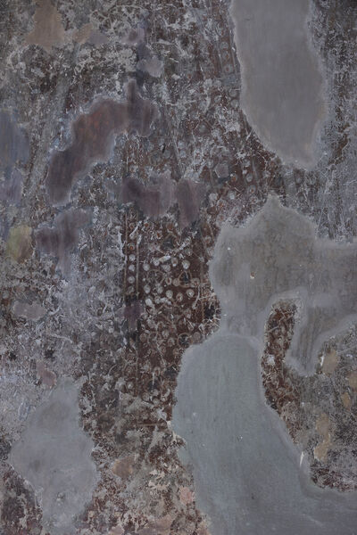 Serbian Queen Jelena, detail