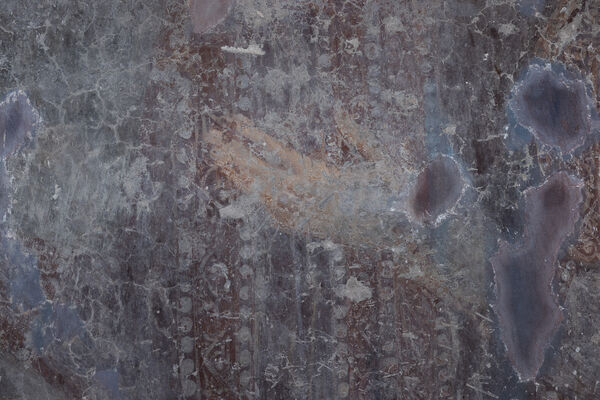 Duke Dejan, detail