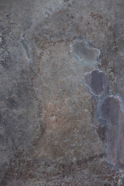 Duke Dejan, detail