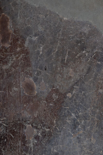 Jovan, the elder son of Dejan and Vladislava, detail