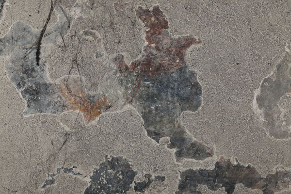 Fresco fragments