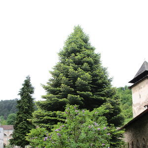 Monastery courtyard