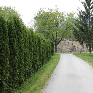 View towards eastern gate and the walls