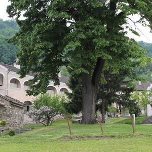 Monastery courtyard